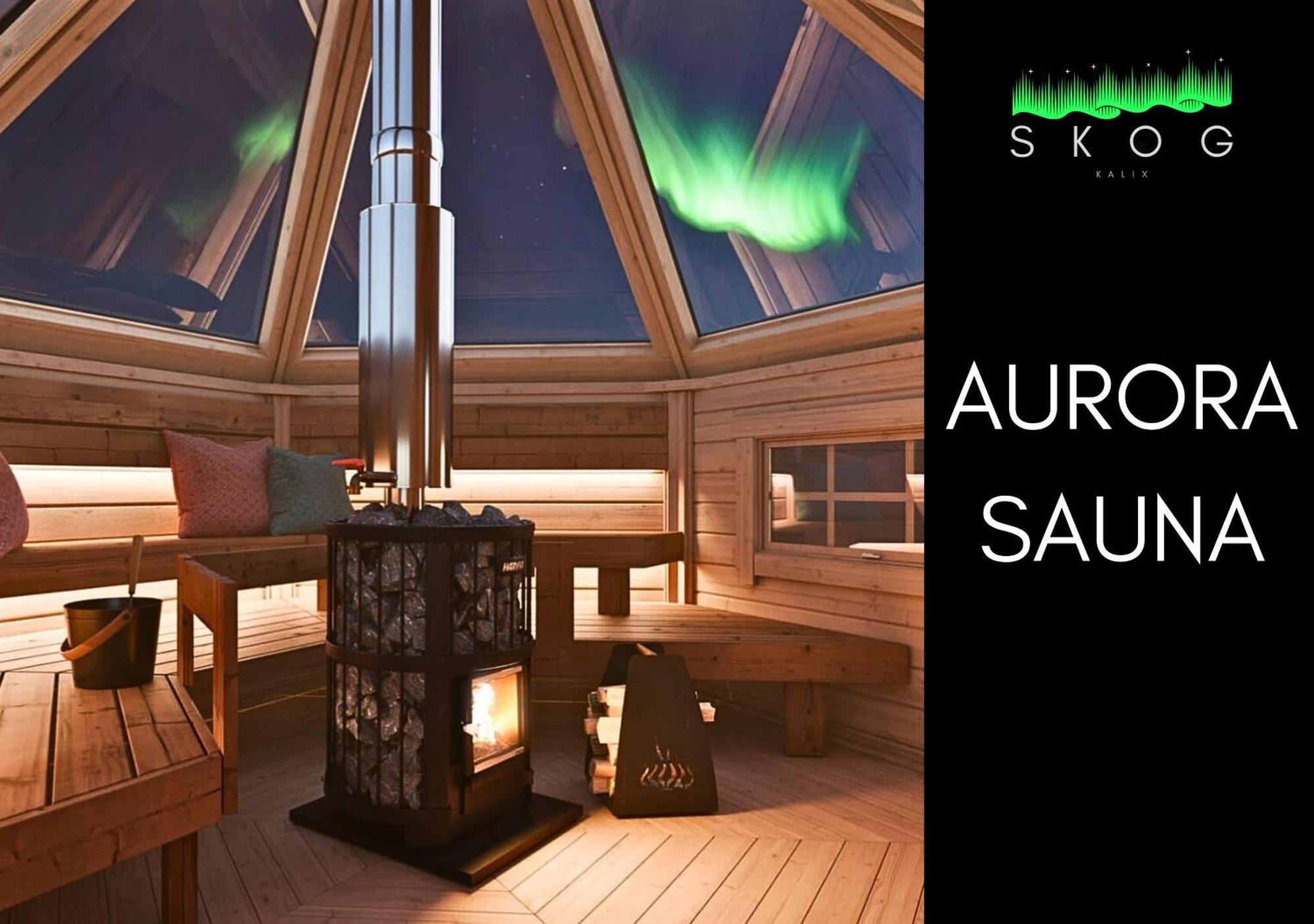 Villa Skog Aurora Igloos à Kalix Extérieur photo
