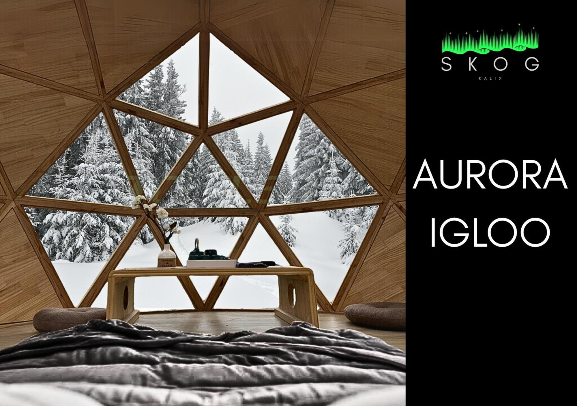 Villa Skog Aurora Igloos à Kalix Extérieur photo