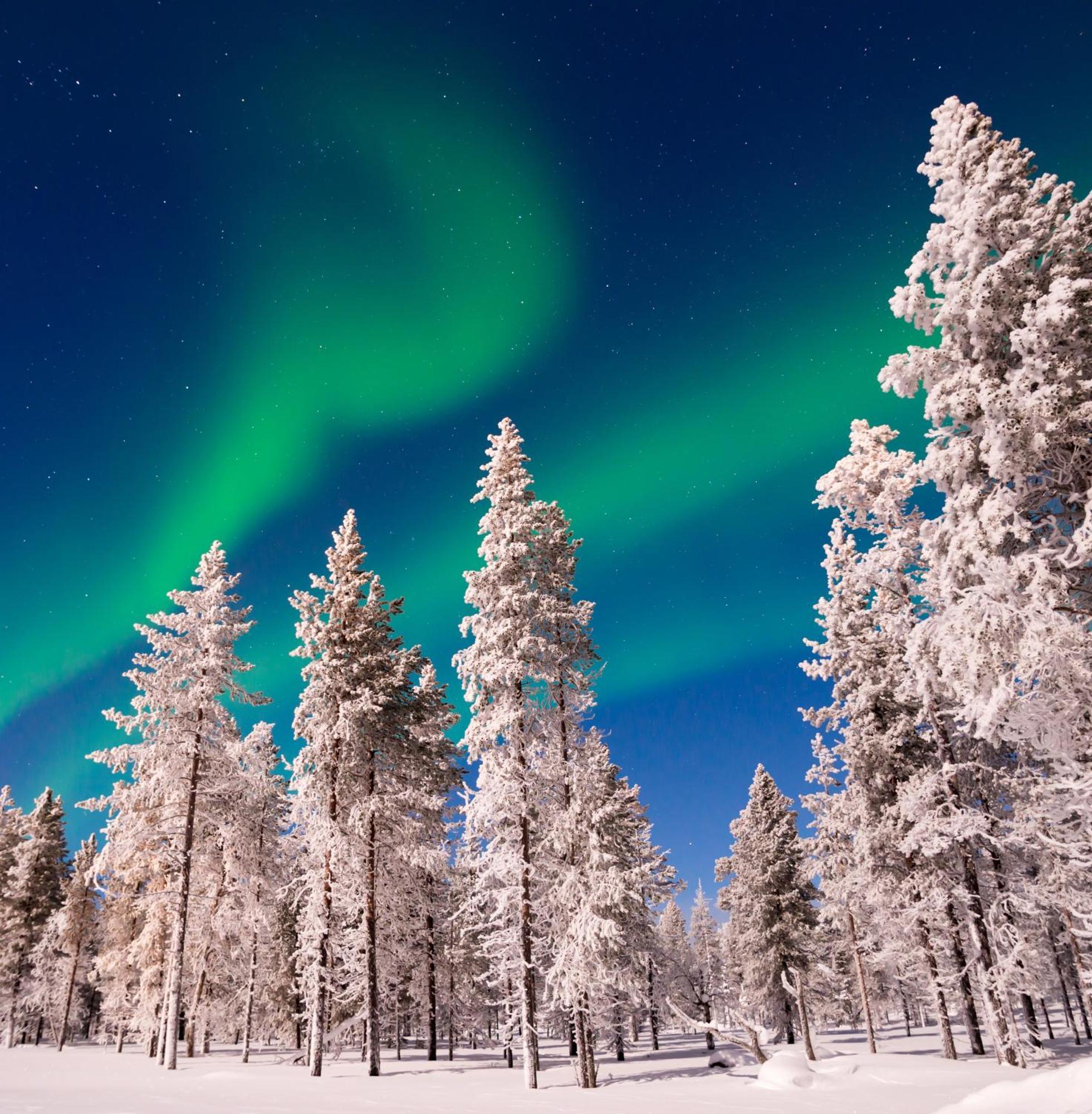 Villa Skog Aurora Igloos à Kalix Extérieur photo